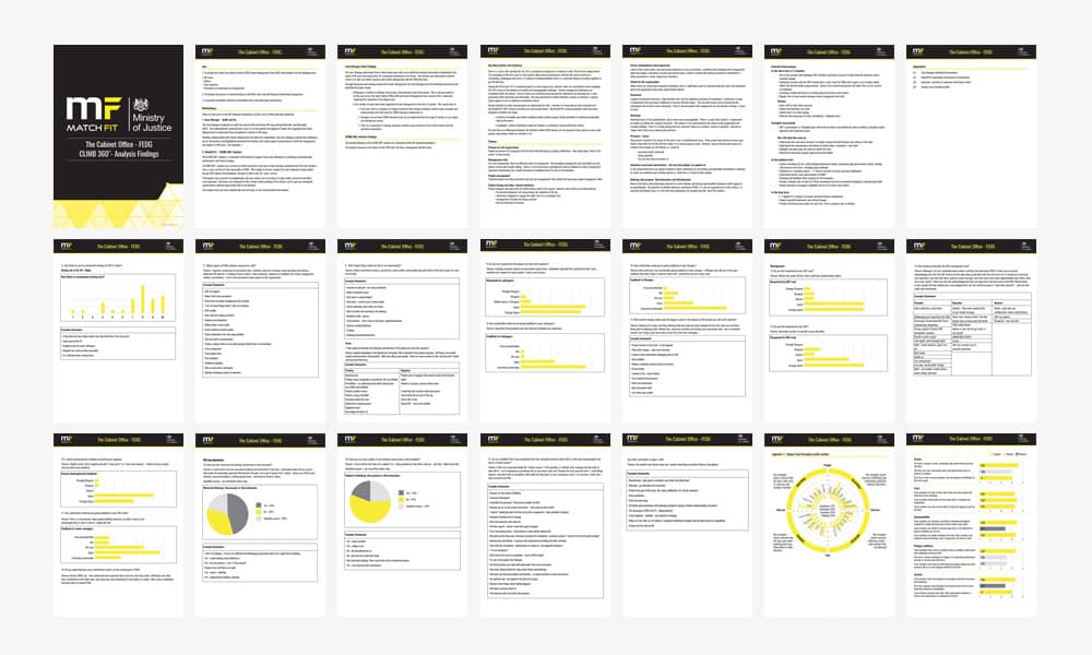 MF_findingsreport_1000x600